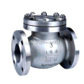 Swing Type Check Valve